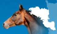 logofedeouest