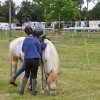 Courses 2019 - dimanche 9 juin