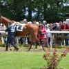 2019-Lundi 10 juin