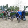 Dimanche 15 mai