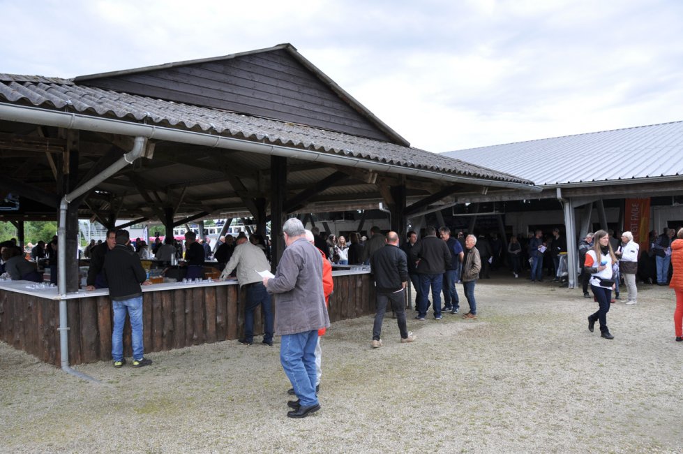 Courses 2019 - dimanche 9 juin