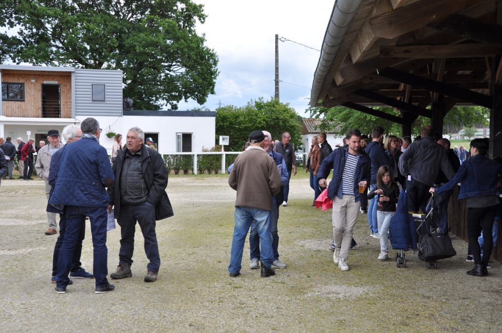 Courses 2019 - dimanche 9 juin