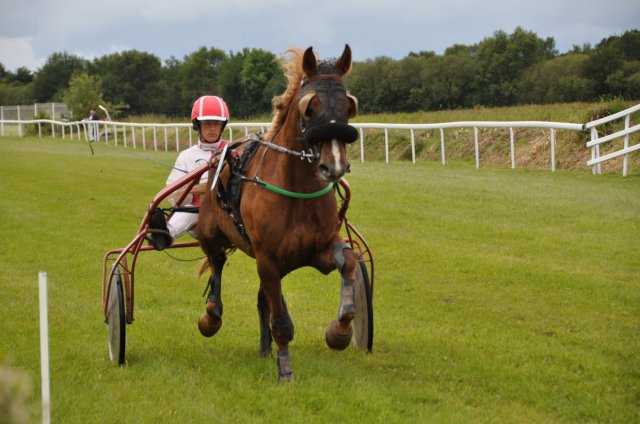 Courses 2019 - dimanche 9 juin