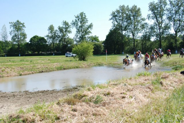 2009