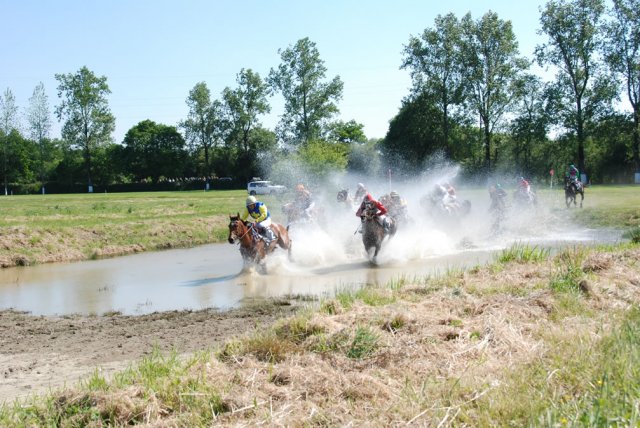 2009