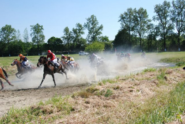 2009