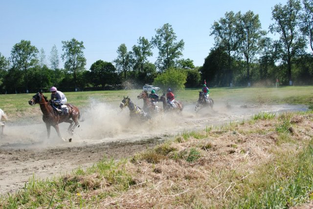 2009