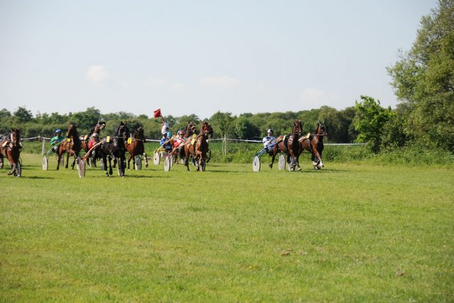 2009