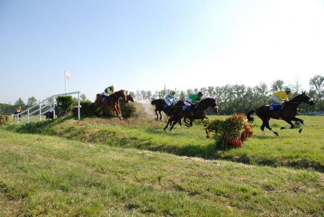 2009