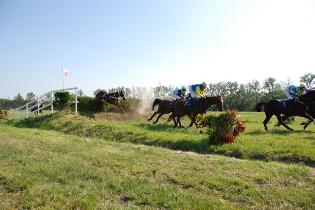 2009