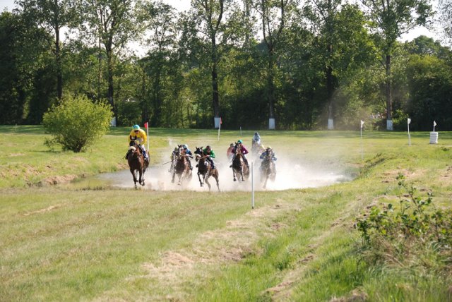 2009